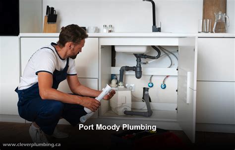 plumbers in port moody